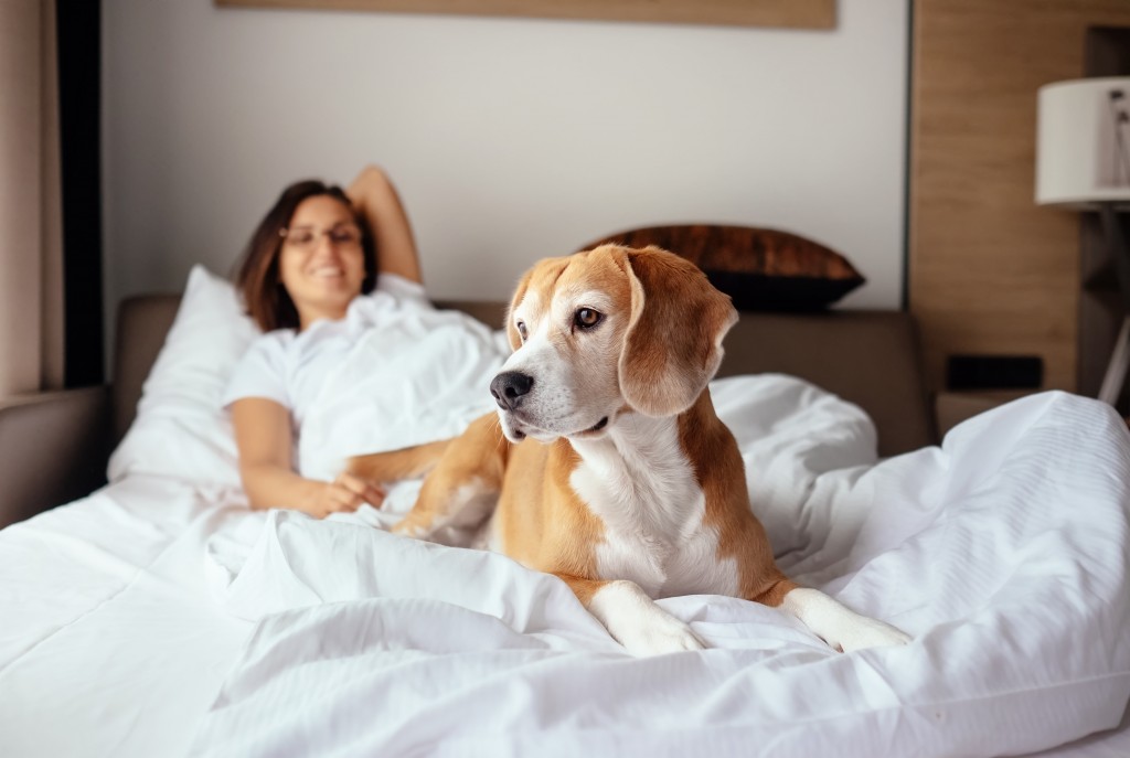 woman and dog on the bed