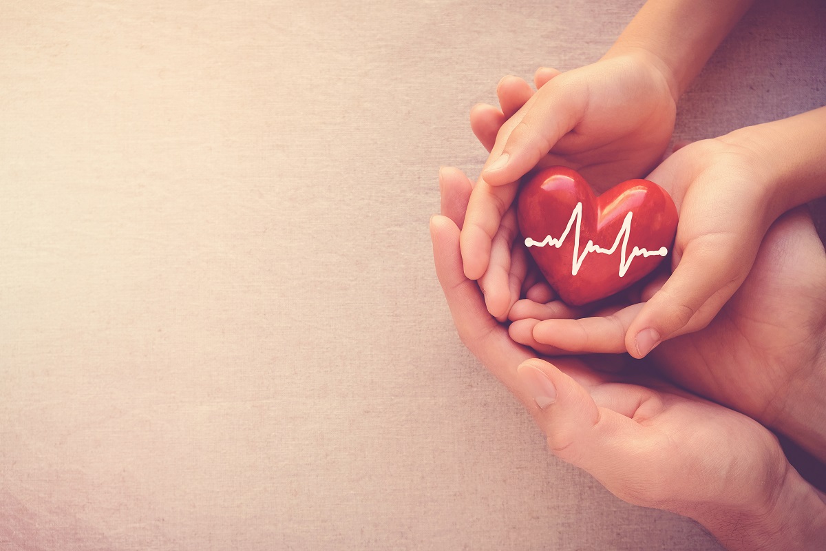 hands holding a heart figure