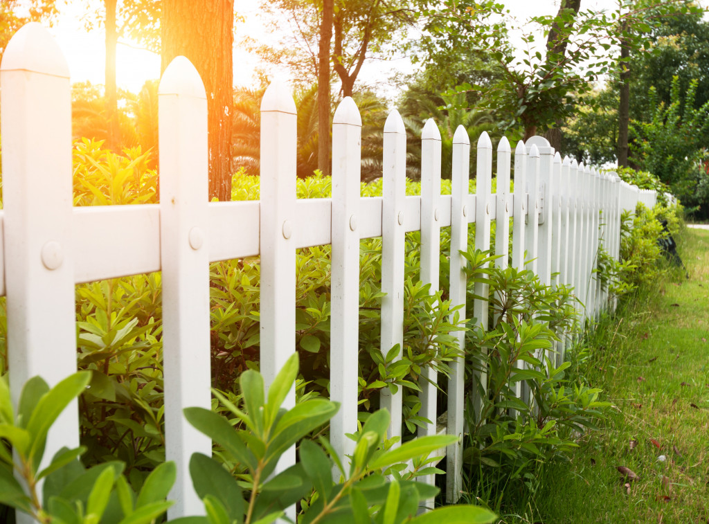 Fencing and hedge